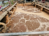 Công ty cung cấp vận chuyển bùn vi sinh Cà Mau chất lượng cao