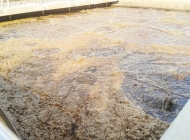 Top 5 công ty cung cấp vận chuyển bùn vi sinh quận Gò Vấp