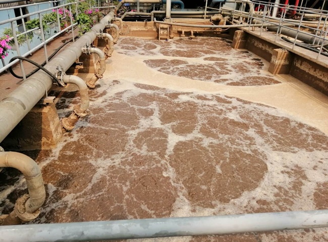 Vận chuyển b&ugrave;n vi sinh Tiền Giang Đức Ph&aacute;t