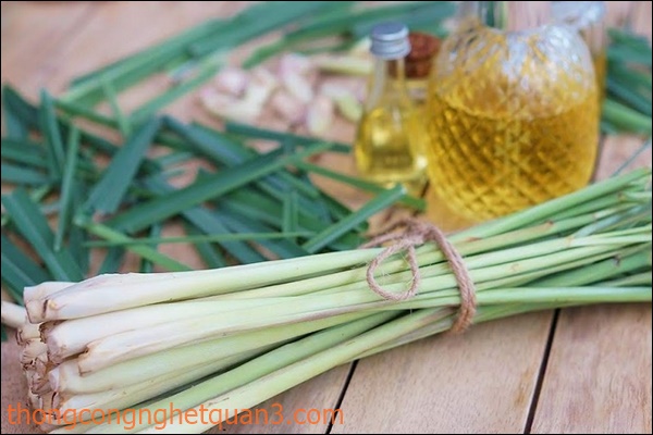 Tổng hợp c&aacute;c loại h&oacute;a chất khử m&ugrave;i h&ocirc;i nh&agrave; vệ sinh