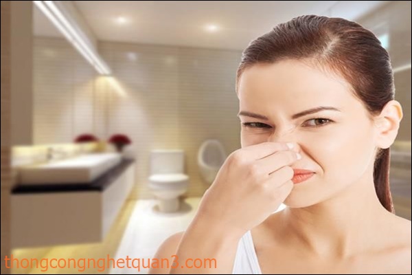 Nguy&ecirc;n nh&acirc;n dẫn đến m&ugrave;i h&ocirc;i nh&agrave; vệ sinh
